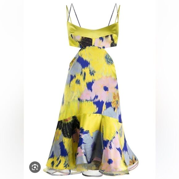 NEW Silvia Tcherassi Analissa Cut Out Silk Abstract Floral Dress Medium - Picture 4 of 14